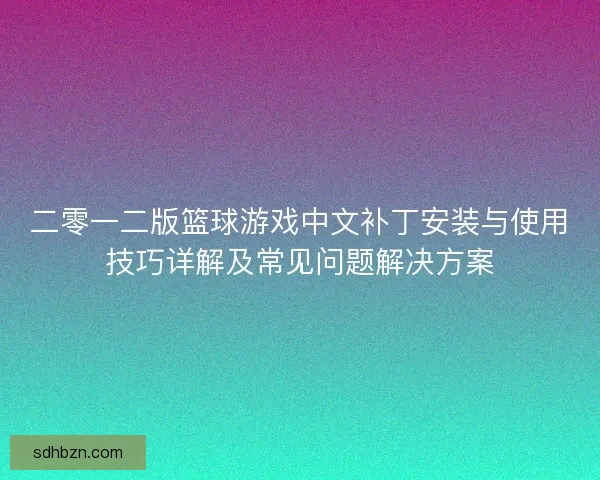 二零一二版篮球游戏中文补丁安装与使用技巧详解及常见问题解决方案